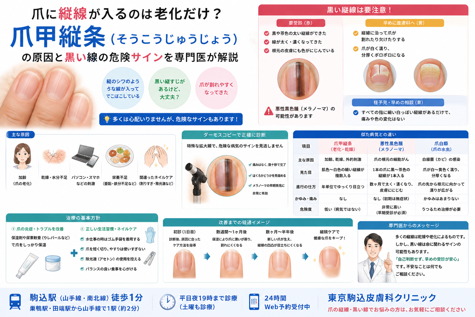 爪 に 線 が 入る