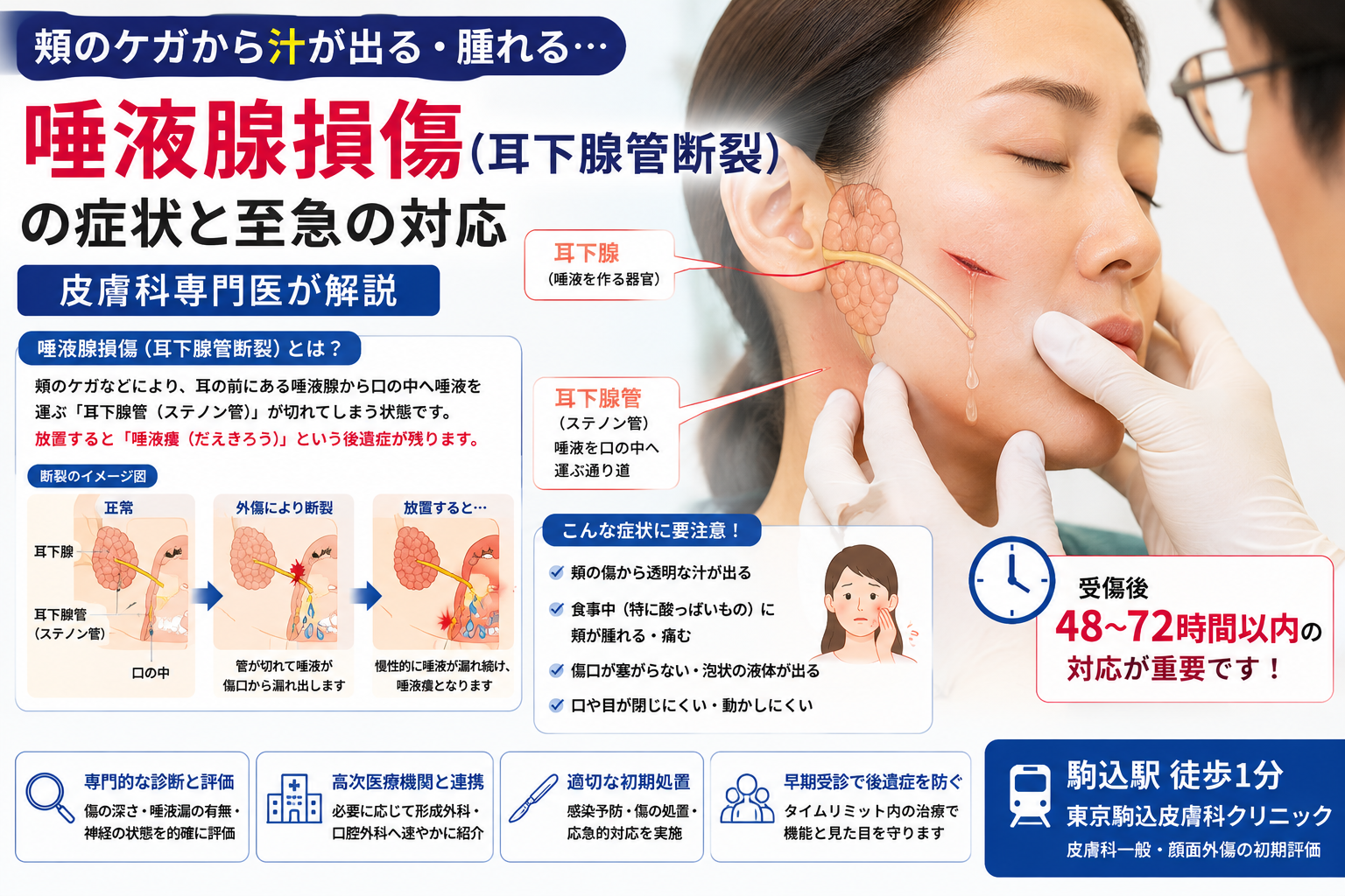 投稿についてもっと詳しく 頬のケガから汁が出る・腫れる…「唾液腺損傷（耳下腺管断裂）」の症状と至急の対応を専門医が解説