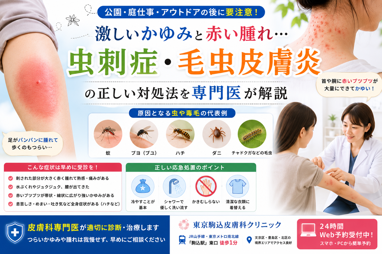 投稿についてもっと詳しく 激しいかゆみと赤い腫れ…「虫刺症・毛虫皮膚炎」の正しい対処法を専門医が解説